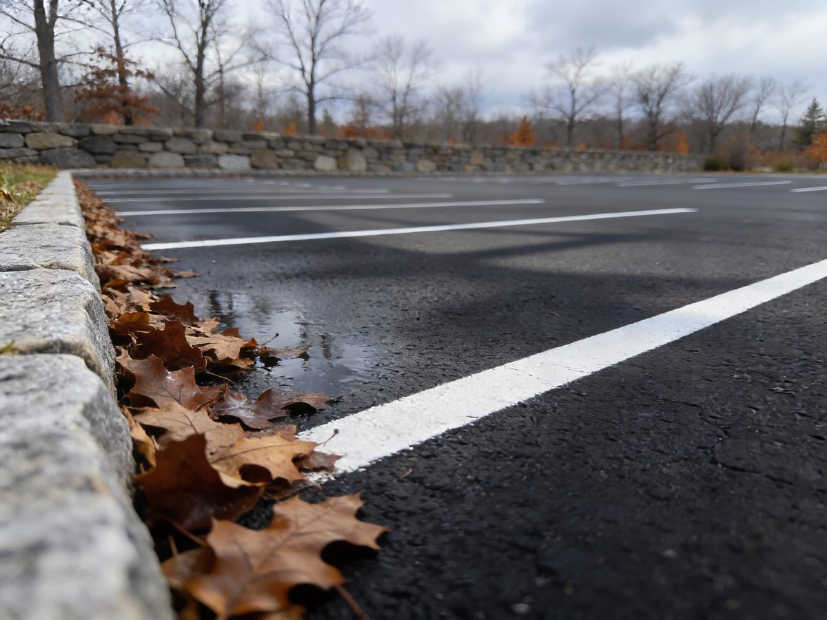 A sealed and striped parking lot with autumn leaves gathered along the kerb